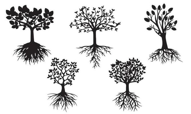 Forest Silhouettes Of Wonderful Long Roots Tree Collection Set Vector Art Design