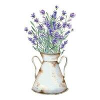 Lavender Watercolor Illustration. Provence Herbs Hand Painted isolated on white background.  Perfect for wedding invitations, bridal shower and  floral greeting cards vector