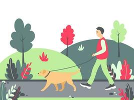 hombre caminando un perro en el parque. vector ilustración con un hombre y dorado perdiguero.