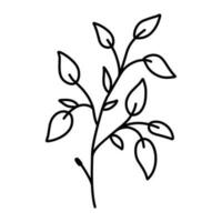 Cute branch with leaves isolated on white background. Vector hand-drawn illustration in doodle style. Perfect for cards, logo, decorations, various designs. Botanical clipart.