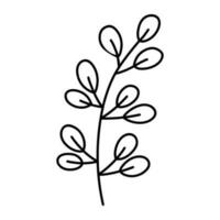 Cute branch with leaves isolated on white background. Vector hand-drawn illustration in doodle style. Perfect for cards, logo, decorations, various designs. Botanical clipart.