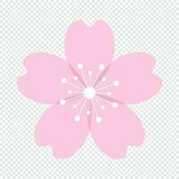 Cherry blossom flower or sakura flat icon. Sakura icon. Pink cherry flower. Vector illustration