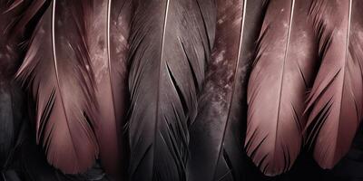 . . Photo realistic black feathers pattern background texture. Ellegant aesthetics luxury vibe. Graphic Art