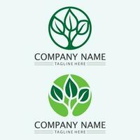 leaf logo design vector for nature symbol template editable,Green leaf logo ecology nature element vector icon.