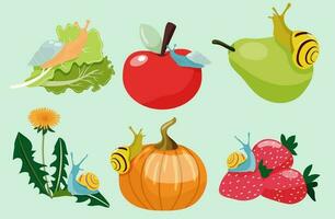 Colourful set of snails sitting on fruits and vegetables. vector