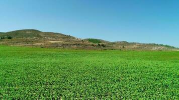 Aerial view of a field in Navarra Spain video