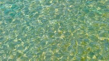 el textura de el superficie de el agua iluminado por el rayos de el Dom. video