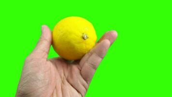 Green screen, lemon, green screen of lemon, lemon fruit, hand holding lemon video