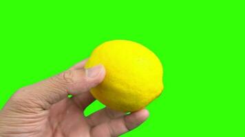 vert filtrer, citron, vert écran de citron, citron fruit, main en portant citron video