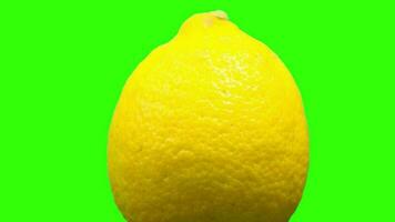 Zitrone, Grün Bildschirm, Grün Bildschirm von Zitrone Obst video