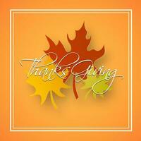 Calligraphy of Thanksgiving with colorful maple leaves on orange background can be used as greeting card design. vector
