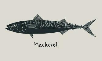 Hand drawn mackerel fish in sketch style. Simple vector isolated illustration on beige background