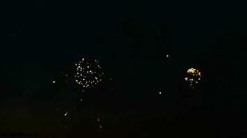 colorful fireworks in night sky. video