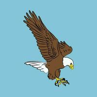 Eagle flying vector illustration