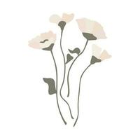 Spring flowers. Summer and spring blossom forest and garden flowers field isolated on white background. Floral and Nature springtime flower. Vector illustration flat.