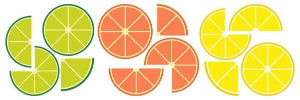 Citrus slices of lemon, orange, lime and grapefruit. Summer vector illustration set.