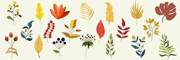 Collection of Vintage flowers and leaves. Set of illustrations with autumn leaves, brunches, berries and flowers, berries, leafs, wreaths. Design spring elements for cards, invitations vector