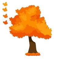 cute cartoon autumn fall trees collection. Vector. vector