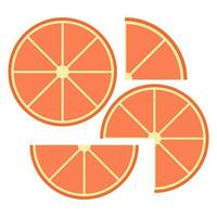 Citrus slices of lemon, orange, lime and grapefruit. Vector illustration.