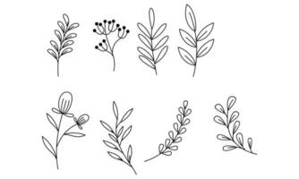 Floral ornamental element pack vector