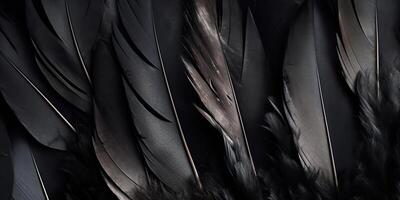 . . Photo realistic black feathers pattern background texture. Ellegant aesthetics luxury vibe. Graphic Art