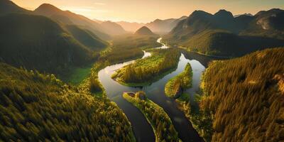 ai generado. ai generativo. aéreo zumbido parte superior alto Disparo foto ilustración de verde bosque y río. puesta de sol aventuras onda. gráfico Arte