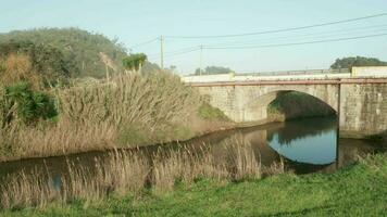 ruhig See unter golden Gras mit Bogen Brücke im Alcobaca Fluss in der Nähe von nazaré im Portugal. - - Antenne zurückziehen Schuss video