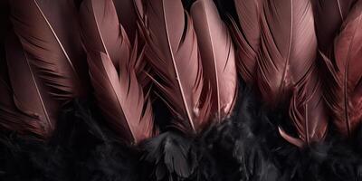 . . Photo realistic black feathers pattern background texture. Ellegant aesthetics luxury vibe. Graphic Art