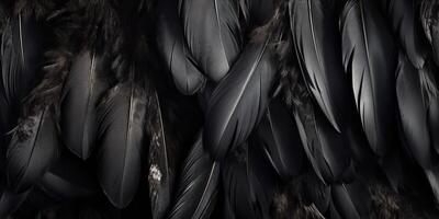 . . Photo realistic black feathers pattern background texture. Ellegant aesthetics luxury vibe. Graphic Art