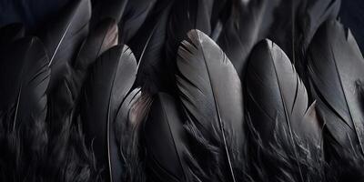 . . Photo realistic black feathers pattern background texture. Ellegant aesthetics luxury vibe. Graphic Art