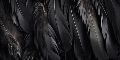 . . Photo realistic black feathers pattern background texture. Ellegant aesthetics luxury vibe. Graphic Art