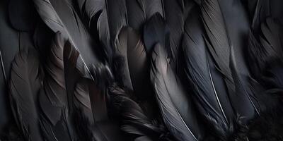 . . Photo realistic black feathers pattern background texture. Ellegant aesthetics luxury vibe. Graphic Art