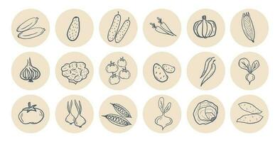 Vegetable doodle sticker pack. Hand drawn trendy illustrations in pastel circles. Healthy food collection set vector