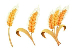 trigo espiguilla, grano en Paja en dibujos animados estilo, detallado aislado en blanco antecedentes. agricultura planta con semillas vector ilustración