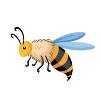 Bee insect animal vector illustration isolated on white square background. Cute and not scary insect drawing. Simple and flat art styled illustration.