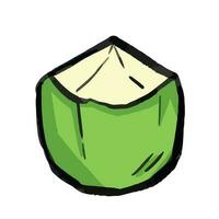 Green young coconut fruit vector illustration with textured messy outline cartoon art style isolated on square white background. Healthy green colored fruit with sweet and fresh taste.