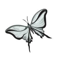 Grayscale butterfly vector illustration isolated on square white background. Monochrome shades of gray simple and flat styled drawing.