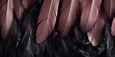 . . Photo realistic black feathers pattern background texture. Ellegant aesthetics luxury vibe. Graphic Art