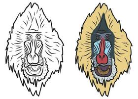 pictures for education coloring baboon heads, suitable for drawing books, coloring applications and more vector