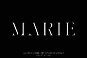 Abstract and elegant serif stencil type style font vector illustration