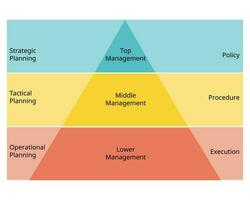 Management Pyramid and type of Management Structures hierarchy vector