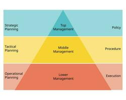 Management Pyramid and type of Management Structures hierarchy vector