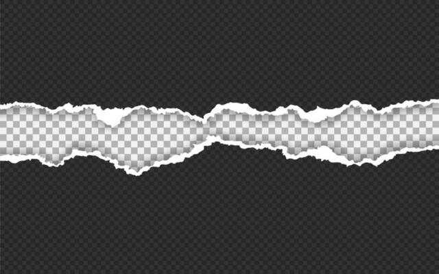 Torn paper edge. Ripped squared paper strips. Vector illustration