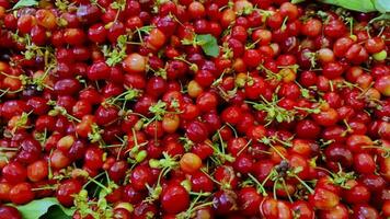 Pile Of Fresh Natural Cherries Waiting To Be Sold video