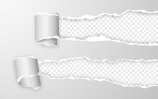 Realistic torn and twisted paper strip. Torn paper edge. Vector illustration