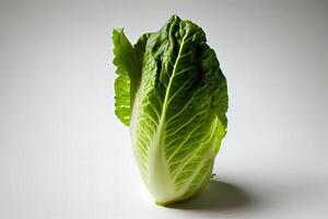 Fresh One natural Romaine Lettuce. photo