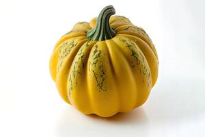 Healthy One natural Patti Pan Squash. photo