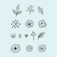 Hand drawn flowers leaves vector