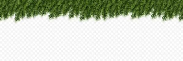 Festive Christmas or New Year Background. Christmas Tree Branches. Holiday's Background. Vector illustration