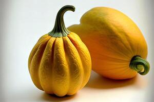 Vegetable One natural Gourds. photo